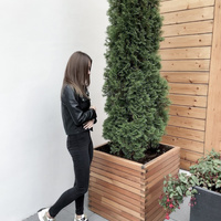 Аватарка turmantu