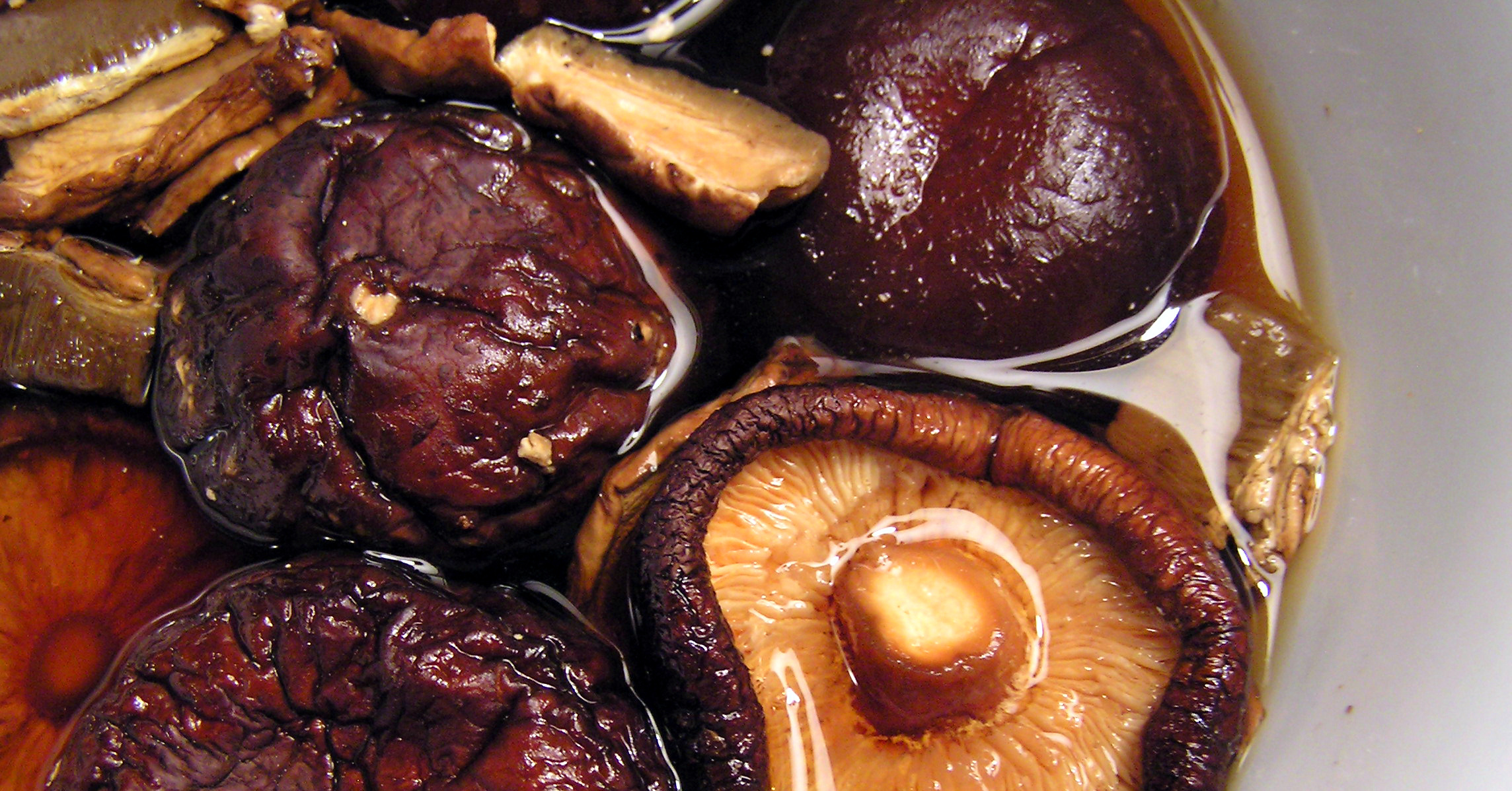 Грузди белые солёные. Грузди бочкового посола. Посолятся грибы в рассоле. Как солить гладыши холодным. Грузди бочкового посола.