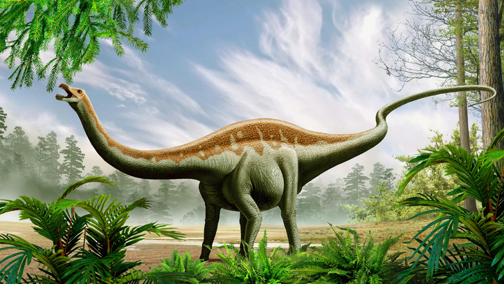 Лайфхак зауропода: ученые выяснили, как ноги динозавров выдерживали их 50-тонный вес