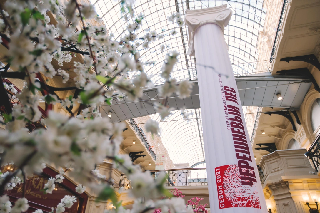 Фестиваль «Черешневый лес» 2023 в Москве | Источник: архивы пресс-служб