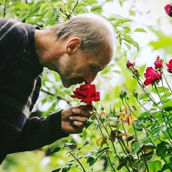 Петр Мамонов о наркотиках: «Под кайфом меня прикололо, что я итальянец, ползаю по кустам»