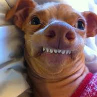 Аватарка jjk202