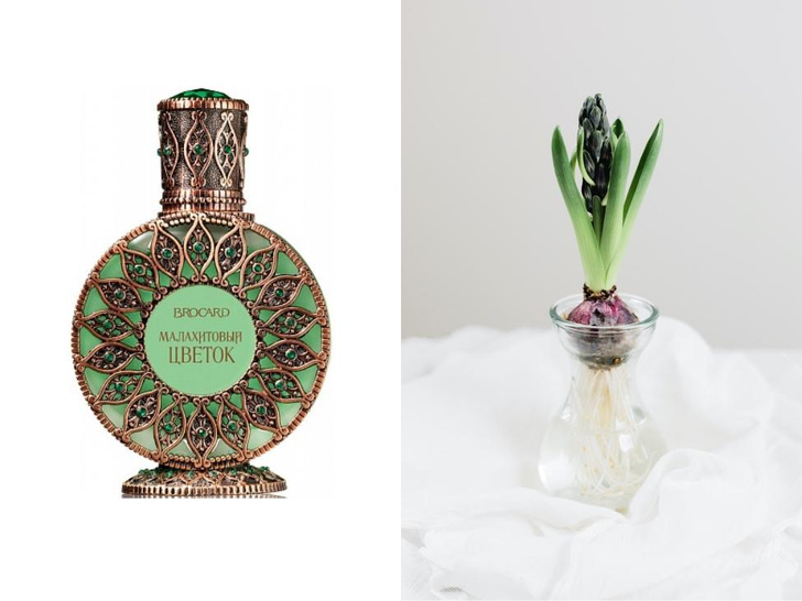 Елки зеленые, радуга, облепиха и одуванчики: 11 ароматов российских парфюмерных брендов