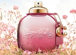 Аромат дня: Wild Rose от COACH