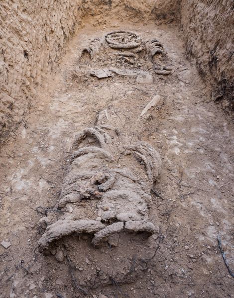 От бремени грехов: в Израиле нашли скелет монаха, закованного в цепи