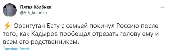 Лучшие шутки про орангутана Бату, из-за которого в Новосибирске разразился политический скандал