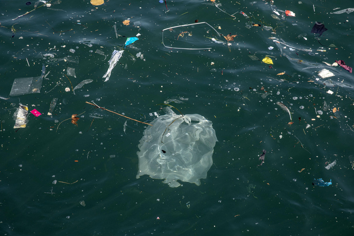«Экоапокалипсис уже случился, его символ — пластиковый стакан с трубочкой»: 11 вопросов экологу