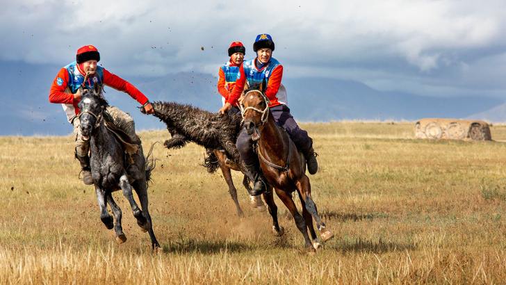 Галопом по Евразии: кочевники из Монголии в VI веке побили все рекорды скорости