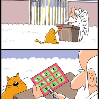 Источник: соцсети