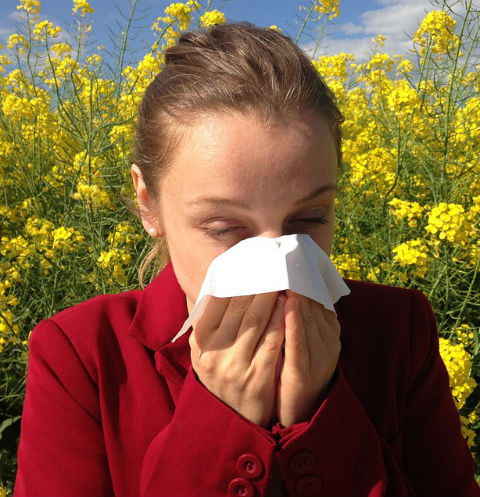 Будьте здоровы: способы борьбы с аллергией, о которых вы не знали