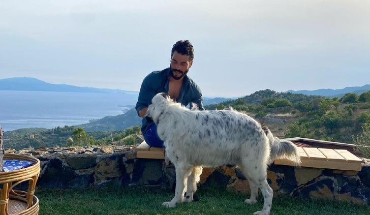 Математик и любитель животных: что мы знаем о турецком актере Акыне Акынёзю и его новом сериале «Ловушка»