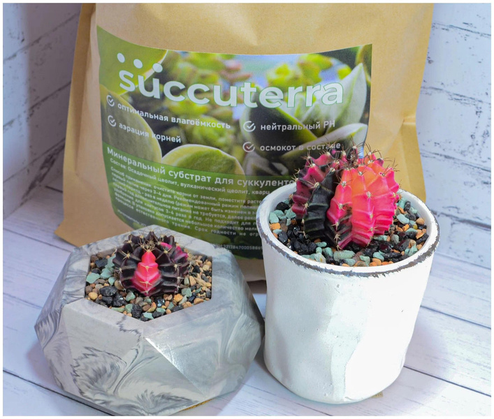 Субстрат для суккулентов и кактусов, Succuterra
