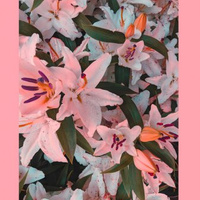 Аватарка Софья