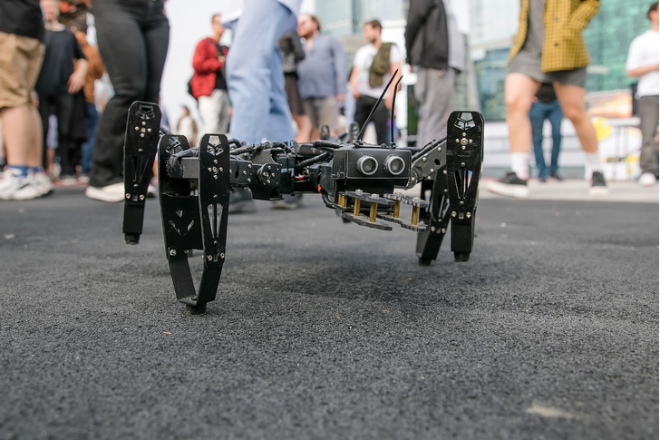 Электрочерепаха, робот-ангел, робот-рыбак и сцена-карусель: самые необычные экспонаты на фестивале Geek Picnic