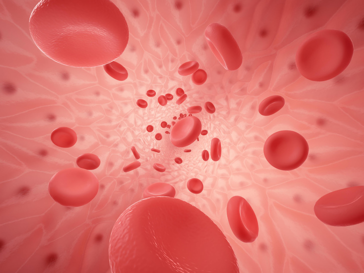Как измерили скорость движения крови в кровеносной системе?