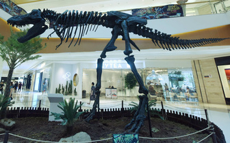 Почему динозавры были такими большими?