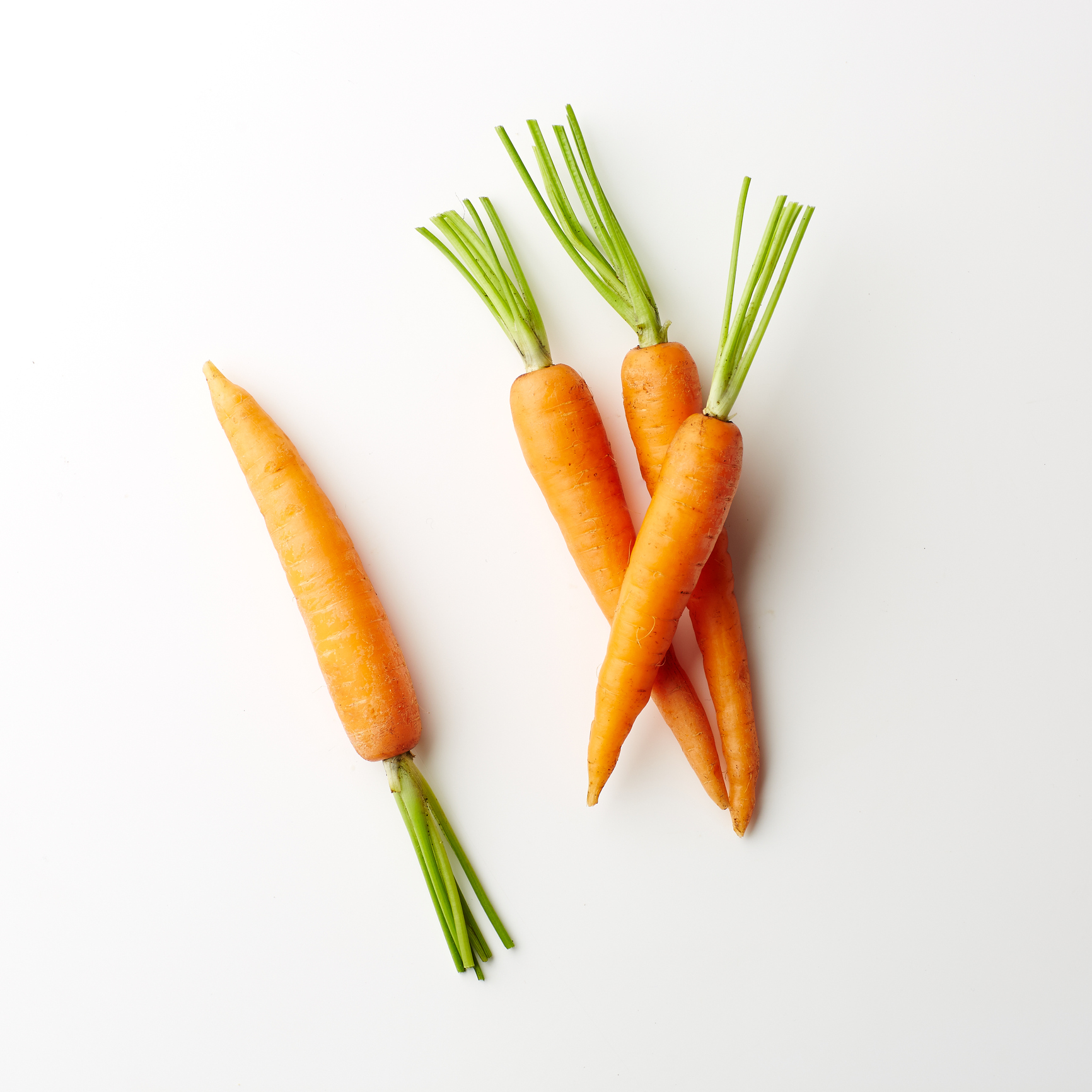 Морковь Витаминная 6 Описание Сорта Фото Отзывы