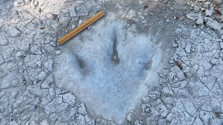 Что скрывала вода: в Техасе на дне реки нашли следы гигантского динозавра