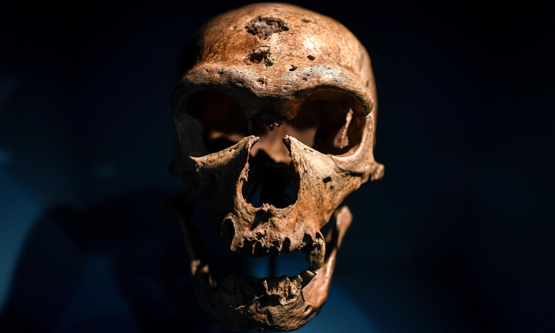 Неандертальцы могли иметь те же группы крови, что и современные люди