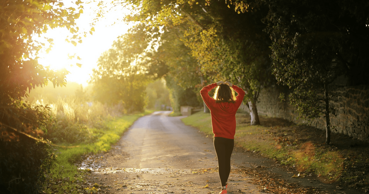 What takes place to your entire body if you run just about every early morning