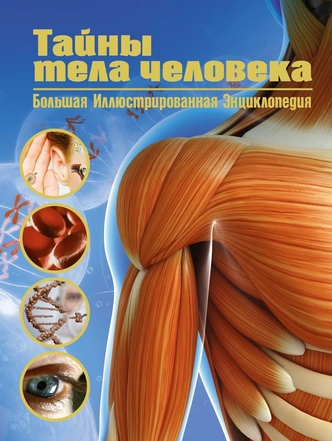 О динозаврах, космосе и подводном мире: 12 энциклопедий для почемучек