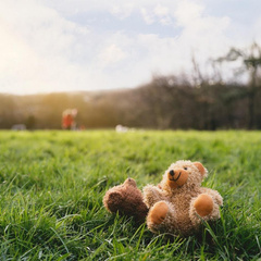 Пропавшие: 3-летняя Мэдлин Макканн и еще 5 дел об исчезновении детей, которые изменили мир
