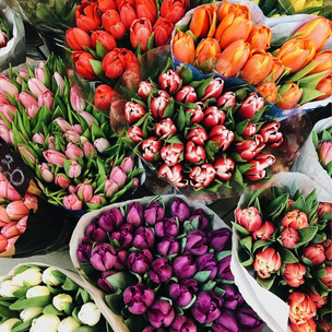 [тест] Выбери тюльпаны, а мы скажем, кто о тебе сегодня думает 🌷