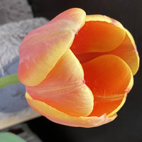 Аватарка Некто