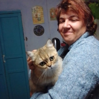 Аватарка vilechka
