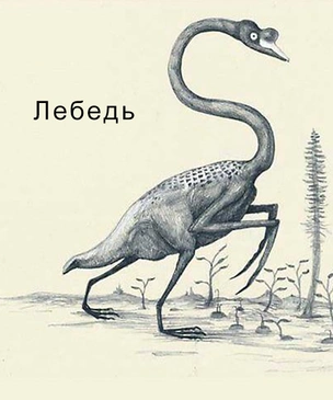 Как бы ученые будущего представляли нынешних животных по костям