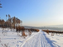 Отважный ребенок из Тувы может остаться без матери