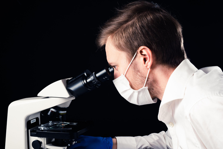 Микромир глазами гребешка: как биолог из Гарварда изобрел новый вид микроскопа
