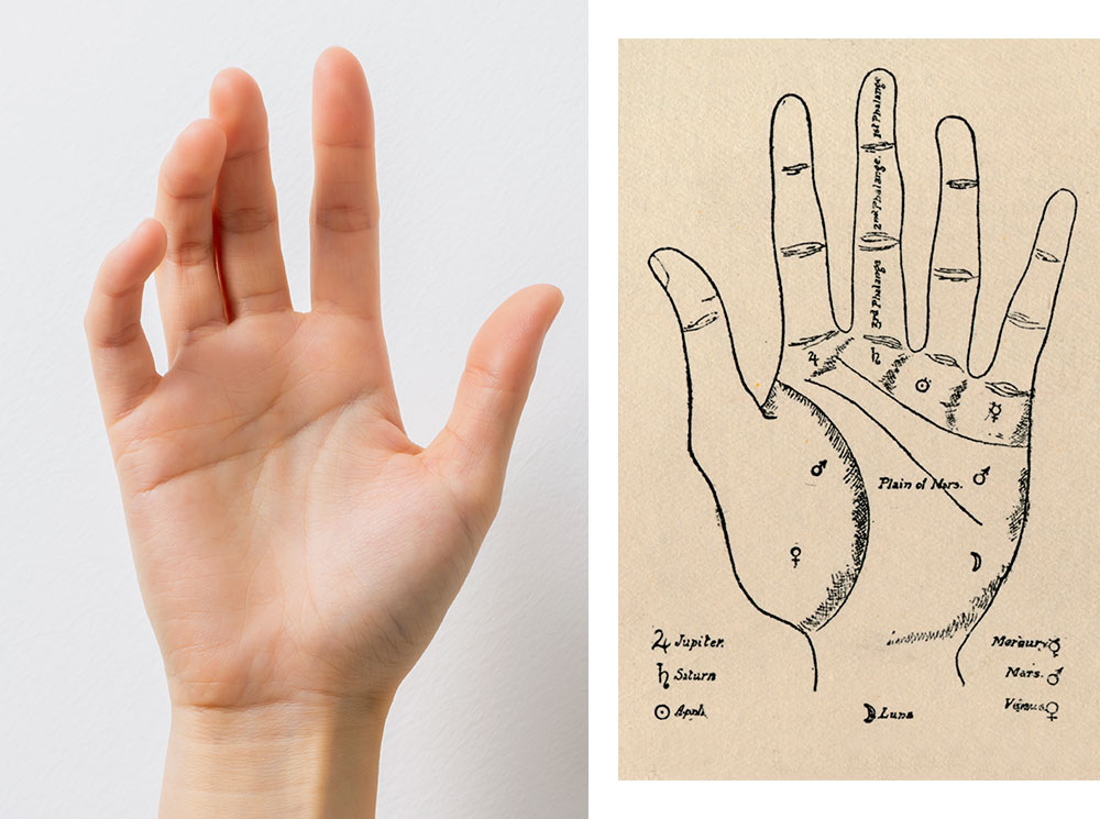 Хиромантия для чайников: что вы можете прочитать по своей руке | marieclaire.ru