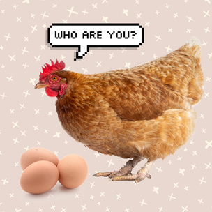 Тест: Кто ты — курица или яйцо?