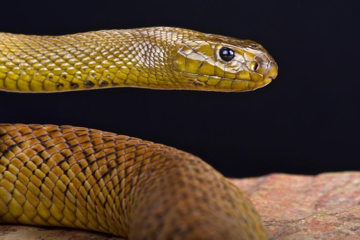 Идеи на тему «Фотосессия с воздушным змеем» (38) | воздушные змеи, воздушный змей, фотосессия