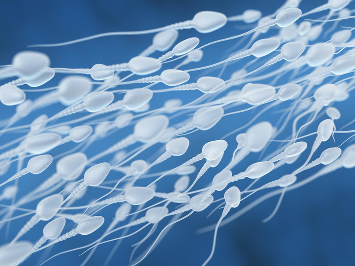 Родить для себя: что нужно знать о донорстве спермы (и с какими рисками вы можете столкнуться)