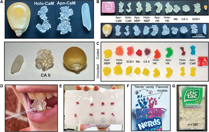 Специальные конфеты помогут слепым детям в изучении химии