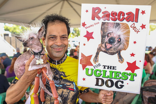 Самая страшная собака в мире