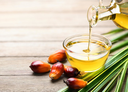 Яд для здоровья: как распознать пальмовое масло в составе продуктов