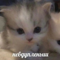 Аватарка ЗеленоглазаяДевка