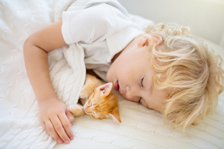 Как продлить сон ребенка - статья «BabySleep» о том как продлить сон грудного ребенка