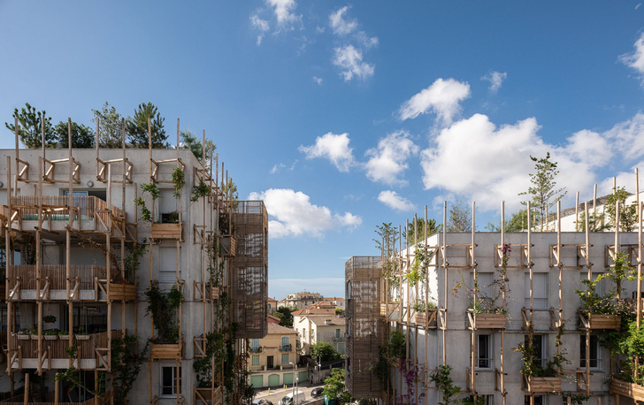 Фото №8 - В Ницце появился жилой комплекс с вертикальным озеленением