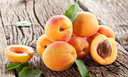 Польза и вред абрикосов: 5 свойств сочного фрукта, о которых вы могли не знать