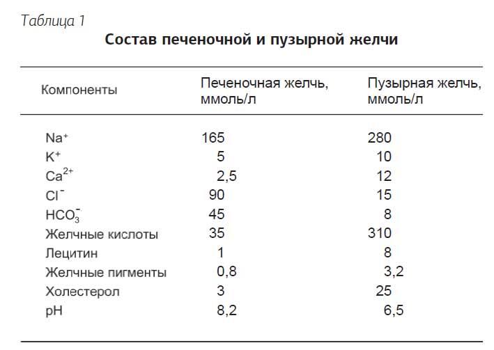 Что такое желчь и как она отмывает посуду и желудок от жира