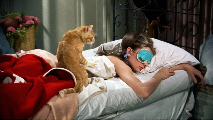 Почему коты предпочитают спать с женщинами, а не с мужчинами?