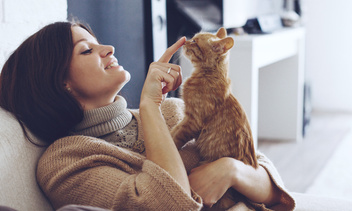 Почему кошка топчется на вас лапками: 3 причины, которые удивят не на шутку