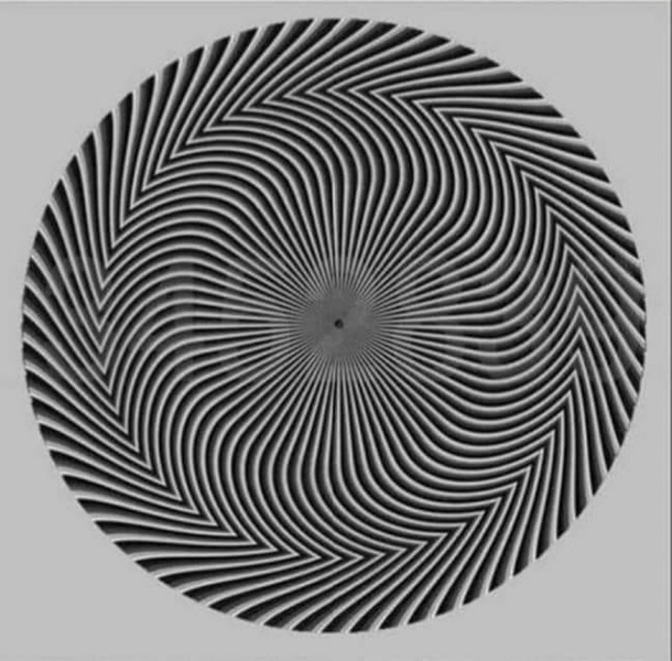 А какое число видишь ты? Вирусная оптическая иллюзия свела с ума «Твиттер»