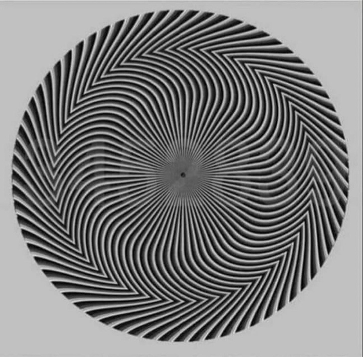 А какое число видишь ты? Вирусная оптическая иллюзия свела с ума «Твиттер»