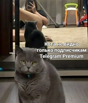 26 картинок месяца и BDSM-банк
