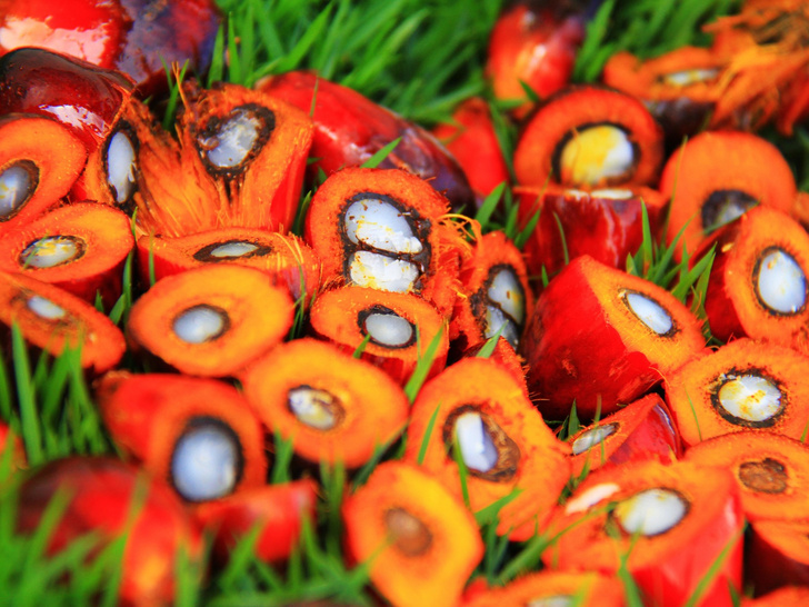 5 мифов о вреде пальмового масла, в которые пора перестать верить